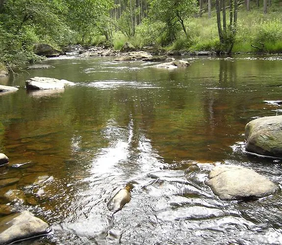 Rurtalapartment 公寓 *