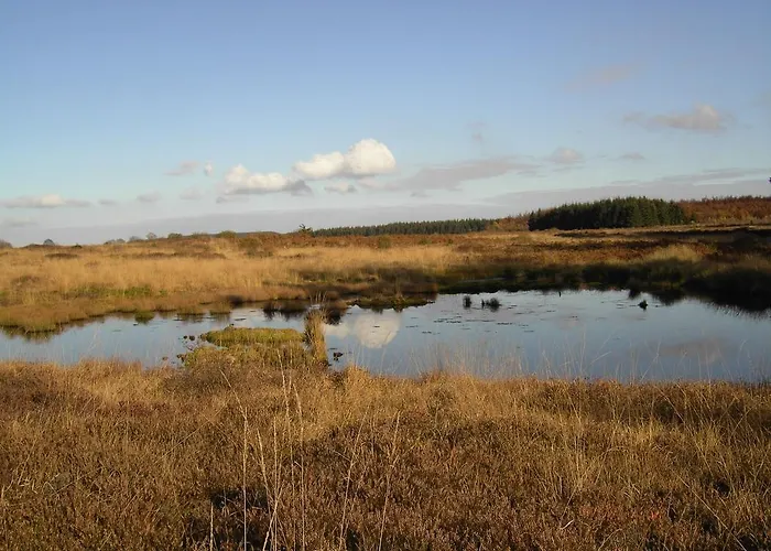 Rurtalapartment 公寓 锡默拉特